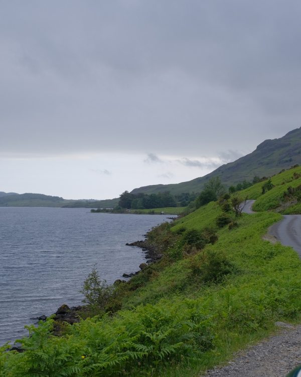 XK-and-Co-Rallye-Lake-District-2026 (10)