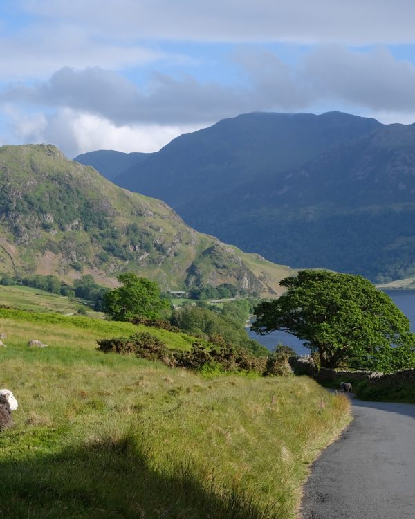 XK-and-Co-Rallye-Lake-District-2026 (9)
