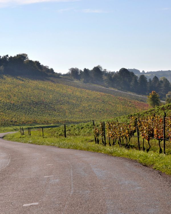xk-and-co-rallyes-automobiles-anciennes-rallye-bourgogne-2025226-Vougeot--10X